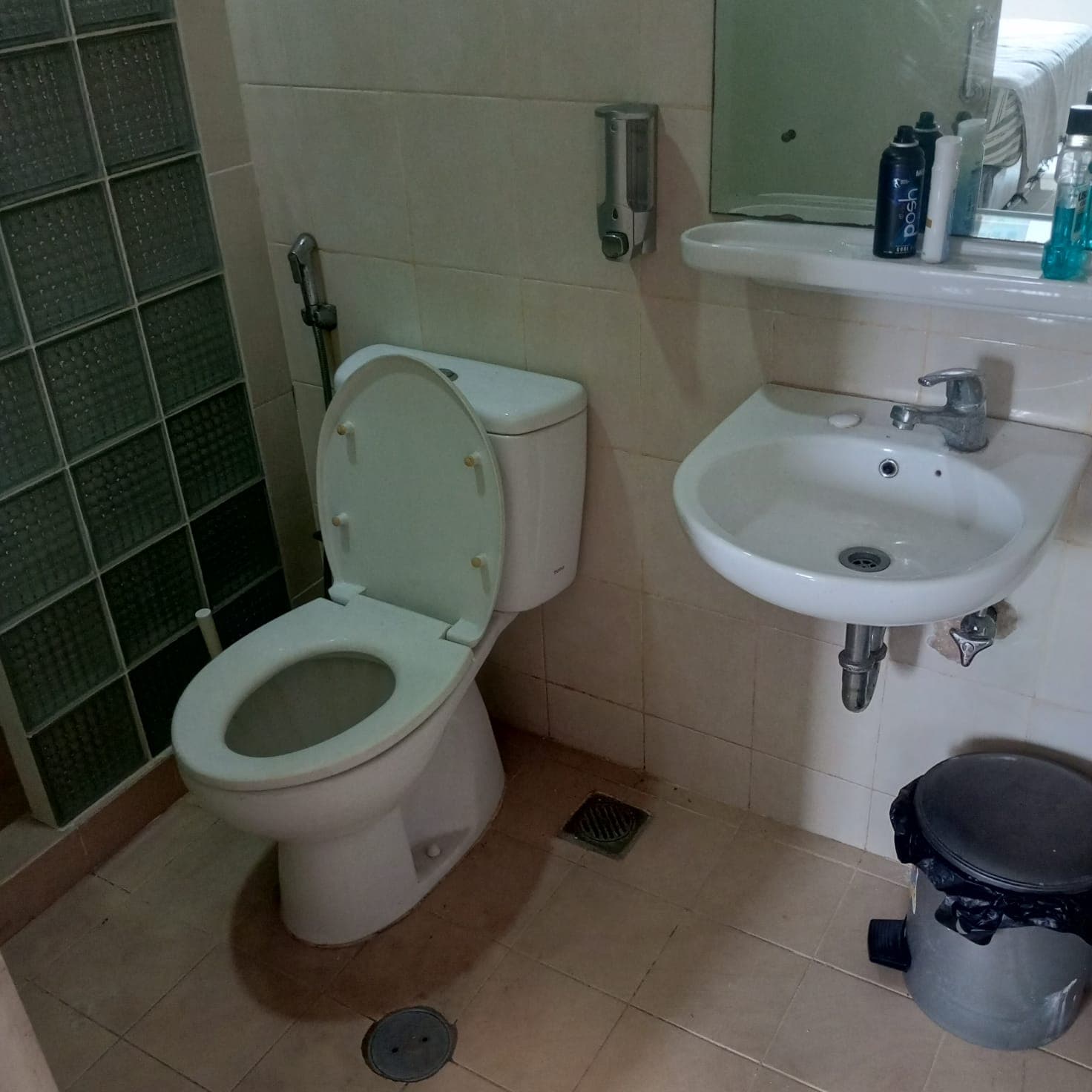 Image 7